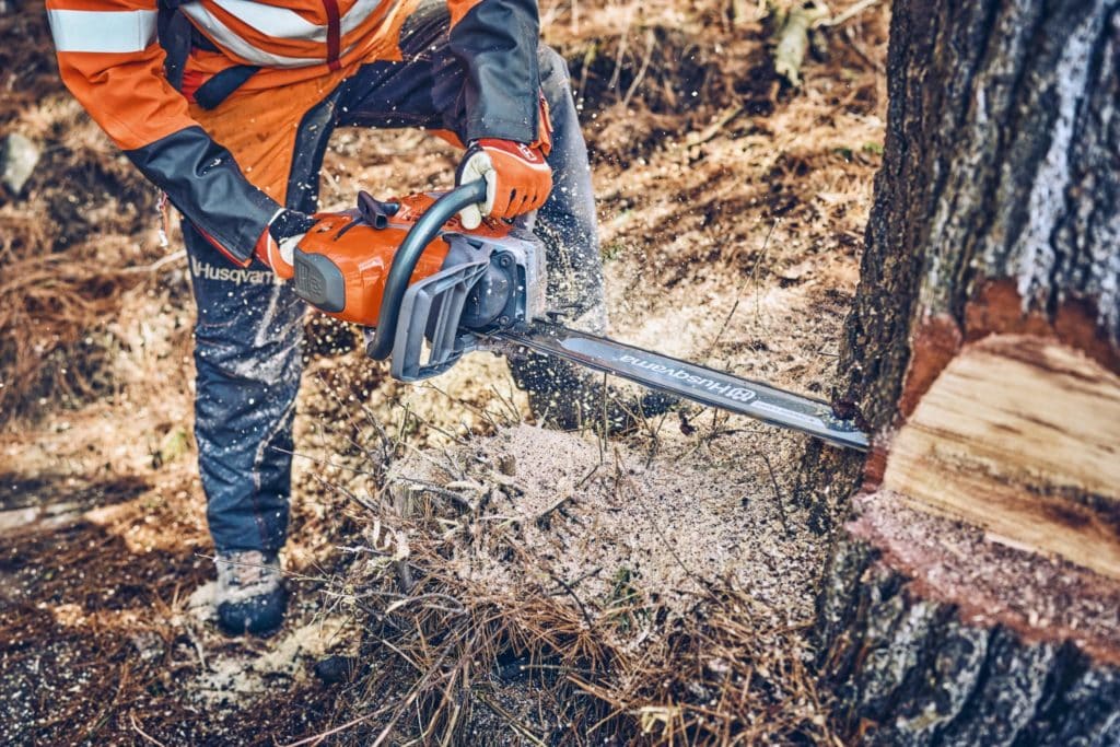 Husqvarna 562 XP Mark II Felling - Quimper Brest Husqvarna 562 XP Mark II Felling - Quimper Brest